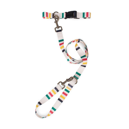 Pendleton National Park Adventure Leash | Recycled Polyester Dual-Snap Lead with D-Ring — Made in USA