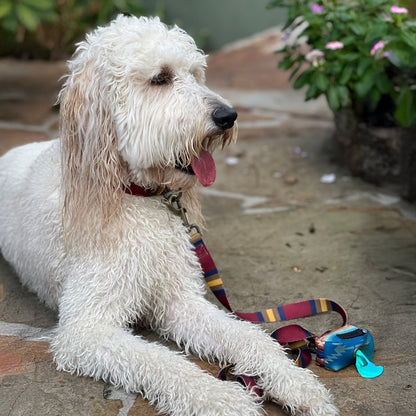 Pendleton National Park Adventure Leash | Recycled Polyester Dual-Snap Lead with D-Ring — Made in USA