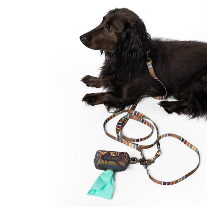 Pendleton National Park Adventure Leash | Recycled Polyester Dual-Snap Lead with D-Ring — Made in USA