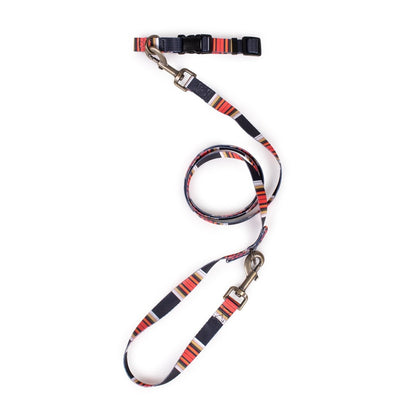 Pendleton National Park Adventure Leash | Recycled Polyester Dual-Snap Lead with D-Ring — Made in USA