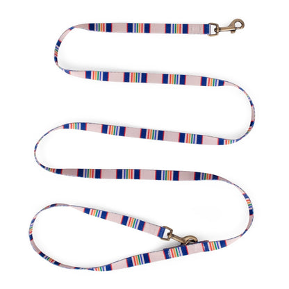 Pendleton National Park Adventure Leash | Recycled Polyester Dual-Snap Lead with D-Ring — Made in USA