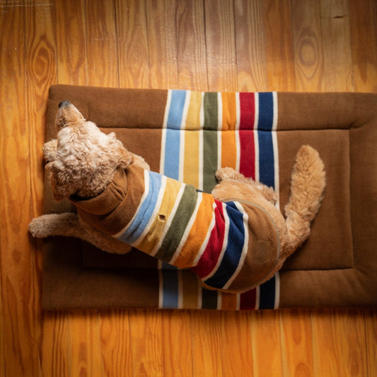 Pendleton National Park Comfort Cushion | Reversible Fleece & Canvas Dog Mat with Plush Fill (Machine Washable)