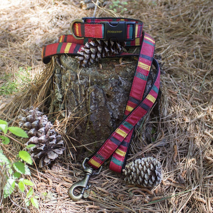 Pendleton National Park Hiker Collar | USA-Made Adjustable Outdoor Dog Collar with Vintage Park-Inspired Patterns