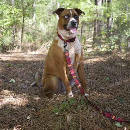 Pendleton National Park Hiker Collar | USA-Made Adjustable Outdoor Dog Collar with Vintage Park-Inspired Patterns