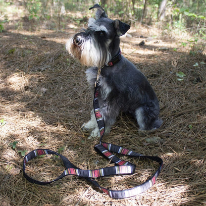 Pendleton National Park Hiker Collar | USA-Made Adjustable Outdoor Dog Collar with Vintage Park-Inspired Patterns