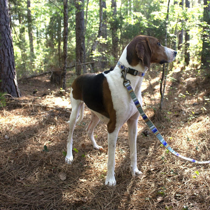 Pendleton National Park Hiker Collar | USA-Made Adjustable Outdoor Dog Collar with Vintage Park-Inspired Patterns