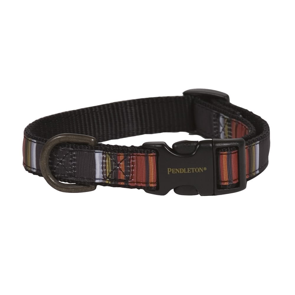 Pendleton National Park Hiker Collar | USA-Made Adjustable Outdoor Dog Collar with Vintage Park-Inspired Patterns