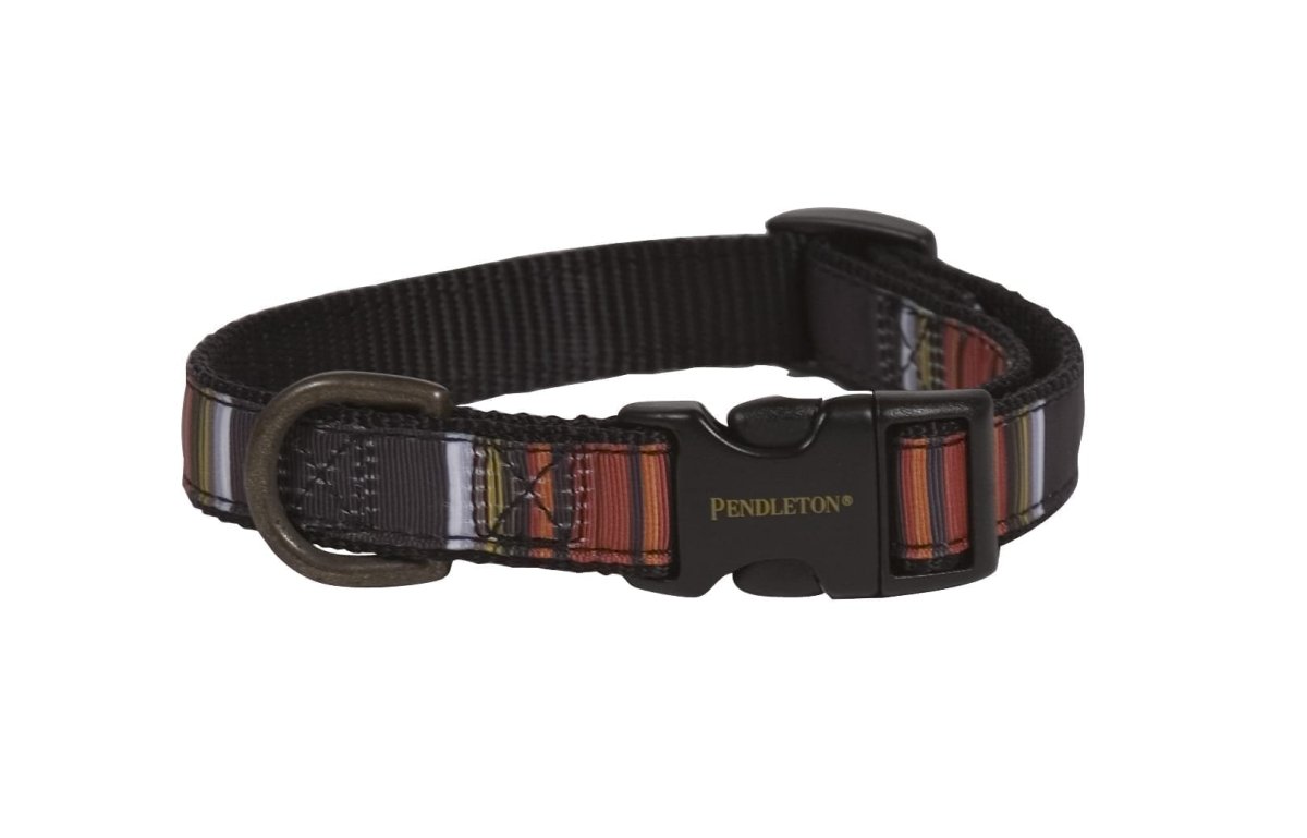 Pendleton National Park Hiker Collar | USA-Made Adjustable Outdoor Dog Collar with Vintage Park-Inspired Patterns