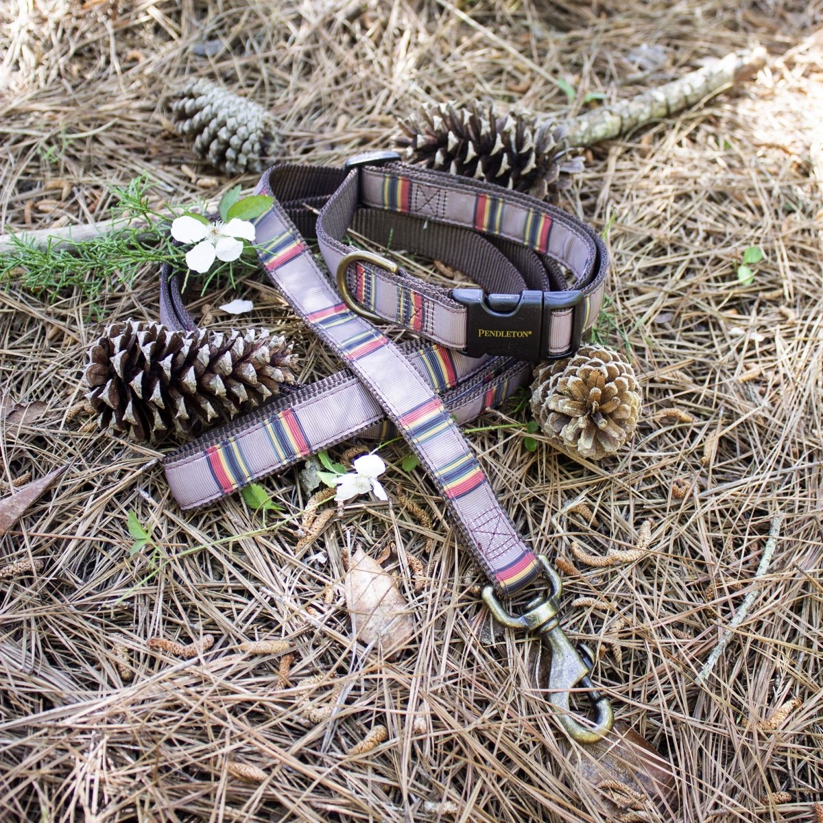 Pendleton National Park Hiker Leash | Durable Nylon Dog Leash with Grosgrain Ribbon & Brass Hardware (Made in USA)