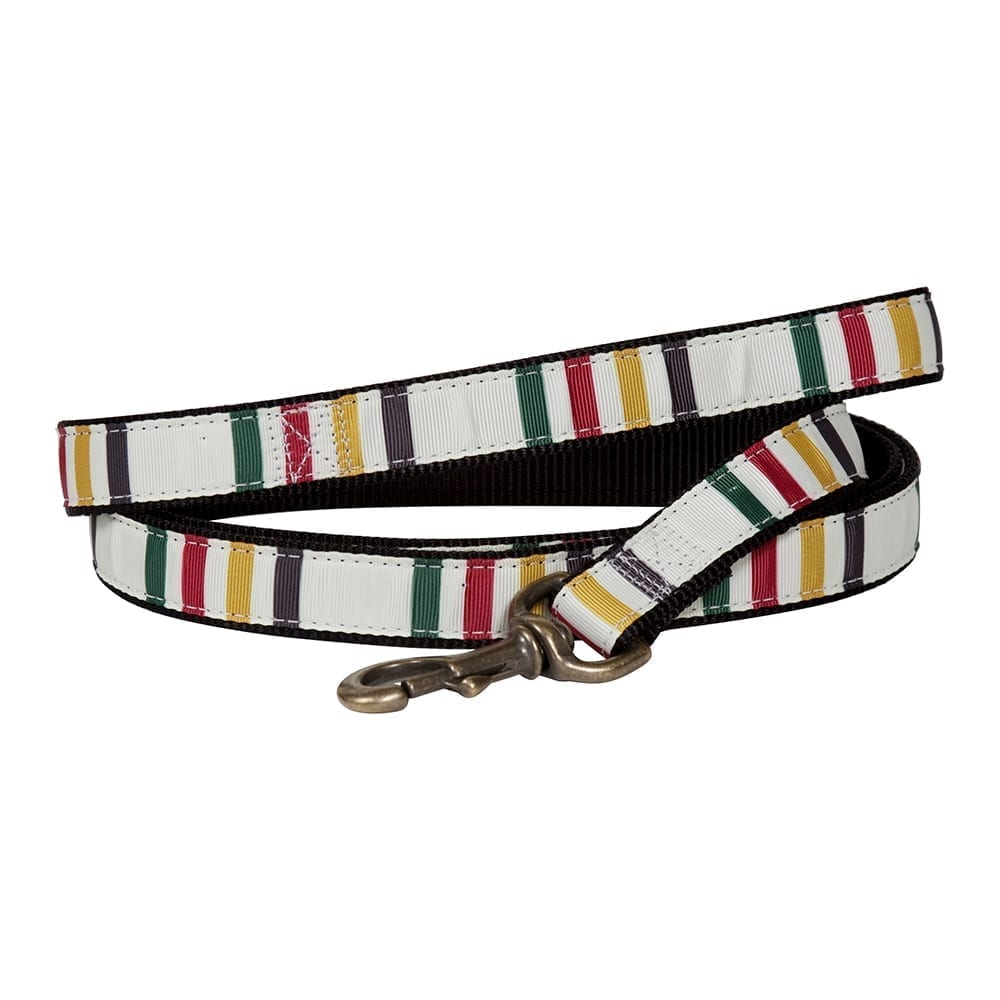 Pendleton National Park Hiker Leash | Durable Nylon Dog Leash with Grosgrain Ribbon & Brass Hardware (Made in USA)
