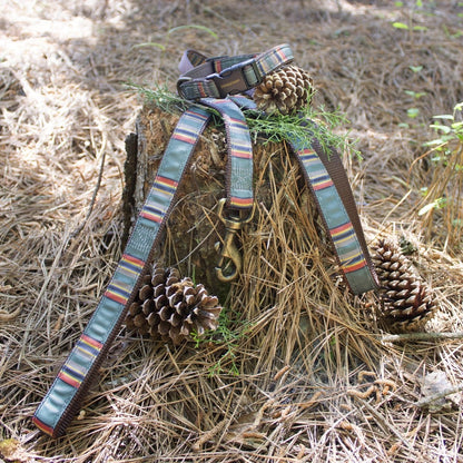 Pendleton National Park Hiker Leash | Durable Nylon Dog Leash with Grosgrain Ribbon & Brass Hardware (Made in USA)