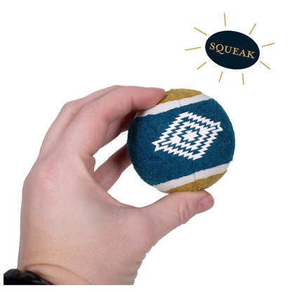 Pendleton Pagosa Springs Tennis Ball Gift Pack | 4-Pack Squeaky Dog Tennis Balls with Pendleton Icons