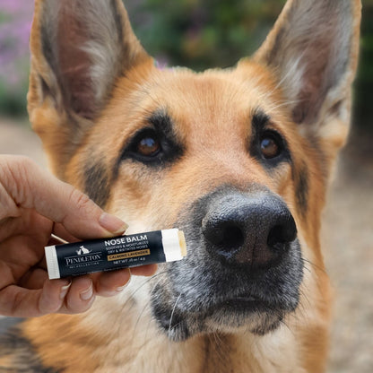 Pendleton Pet Nose Balm | Natural Moisturizing Balm for Dry, Cracked Dog Noses with Sunflower Seed Oil