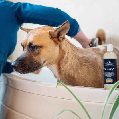 Pendleton Pet Shampoo | Hypoallergenic Aloe & Lavender Formula for Sensitive, Dry or Itchy Skin