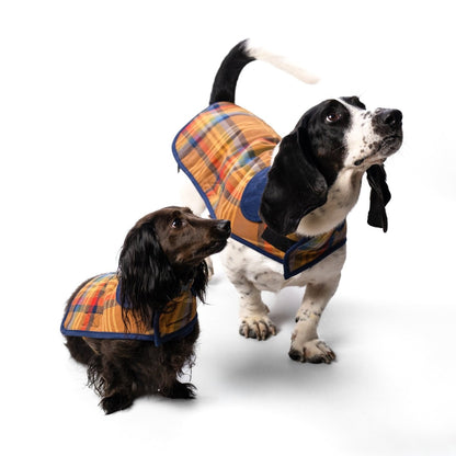 Pendleton Plaid Pet Coat | Warm Woven Cotton Jacket with Quilted Lining, Adjustable Belt & Leash Access