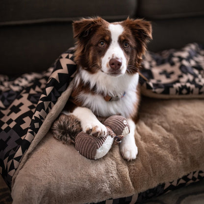 Pendleton Plush Squirrel Dog Toy | Soft Squeaky Plush with Plaid Bandana & Fluffy Tail