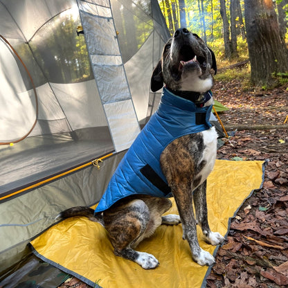 Pendleton Puffer Dog Coat | Reversible Warm Polyester Dog Jacket with Leash Slot & Adjustable Closures