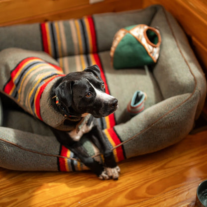 Pendleton Vintage Camp Berber Dog Coat | Reversible 370 GSM Plush Jacket with Leash Access & Adjustable Fit