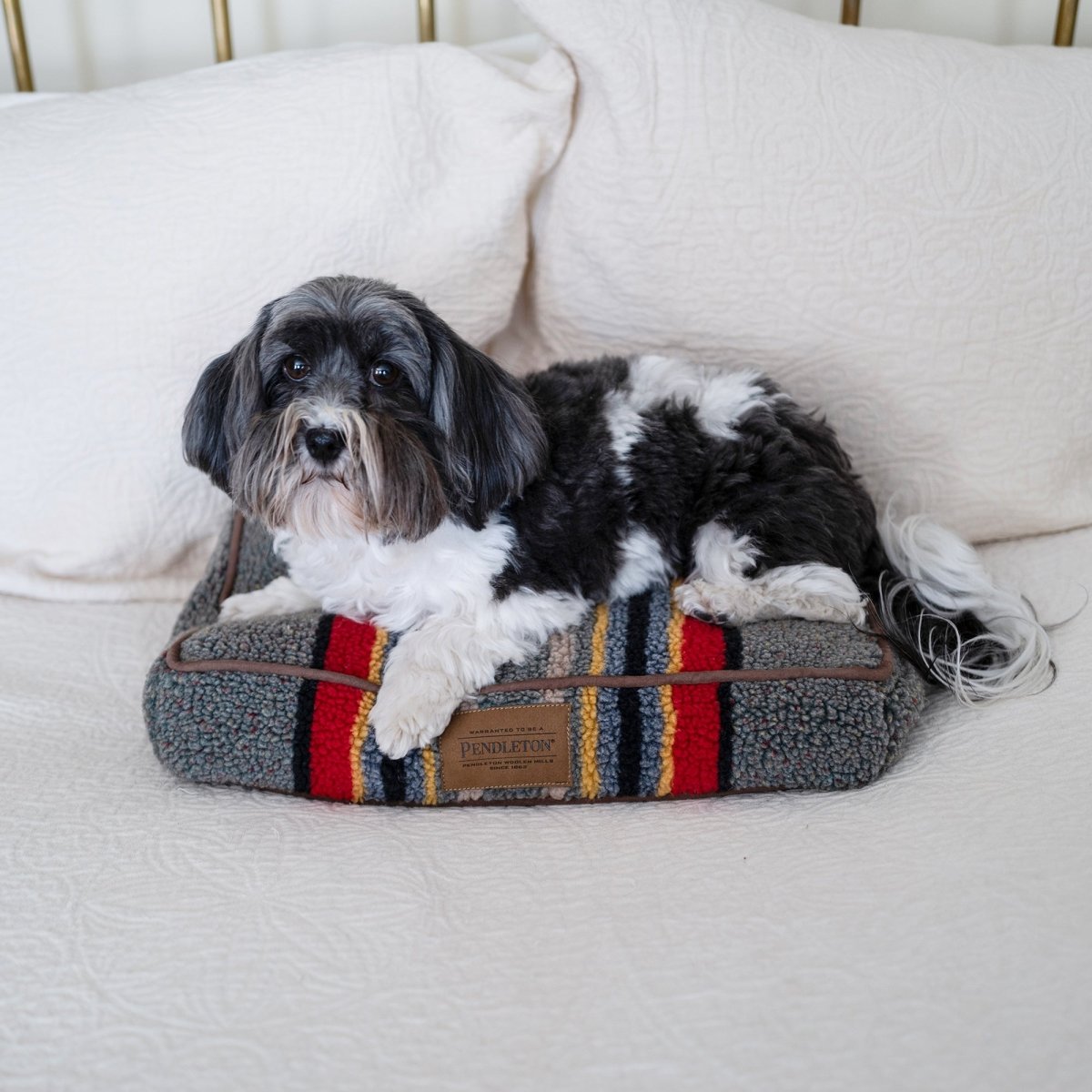 Pendleton Vintage Camp Pet Napper | Berber Dog Bed with Recycled Fill or Memory Foam & Removable Cover