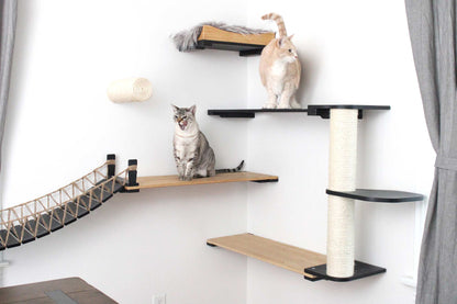Cat Bridge for Wall