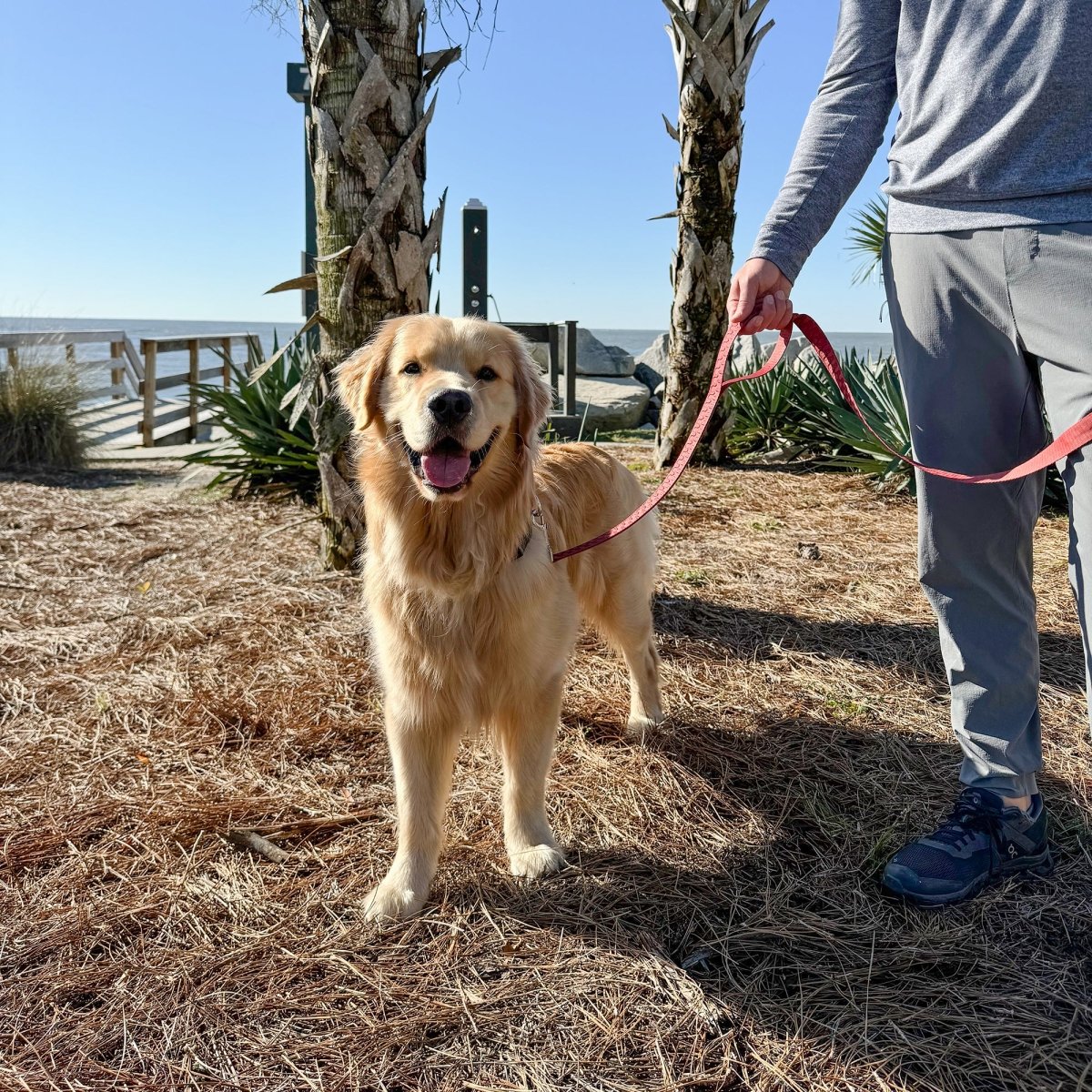 Checkered Wave Pet Leash | 6ft Durable Woven Lead with Traffic Handle & Accessory D-Ring