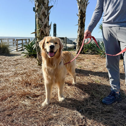 Checkered Wave Pet Leash | 6ft Durable Woven Lead with Traffic Handle & Accessory D-Ring