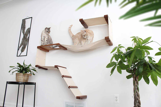 The Play - A Cat Play Wall System