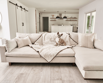 PupProtector™ Summer Short Fur Waterproof Throw Blanket - Polar White