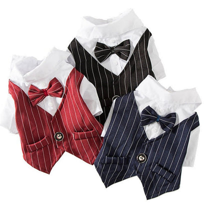 Pinstripe Dog Suit Vest Set – Classic Formal Outfit for Small & Medium Dogs (S–2XL, 3 Colors Available)