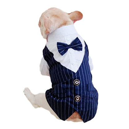 Pinstripe Dog Suit Vest Set – Classic Formal Outfit for Small & Medium Dogs (S–2XL, 3 Colors Available)