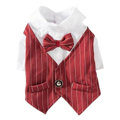Pinstripe Dog Suit Vest Set – Classic Formal Outfit for Small & Medium Dogs (S–2XL, 3 Colors Available)