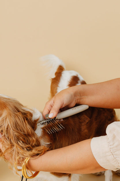 Pup Parent Essentials | Beginner Dog Grooming Bundle with Slicker Brush & Combs