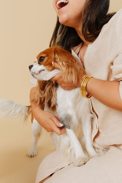 Pupwell Detangler Comb – Dematting Tool for Knots & Mats