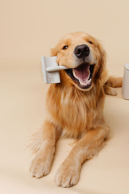 Everyday Slicker Brush | Professional Dog Grooming Brush for Detangling & Mat Prevention