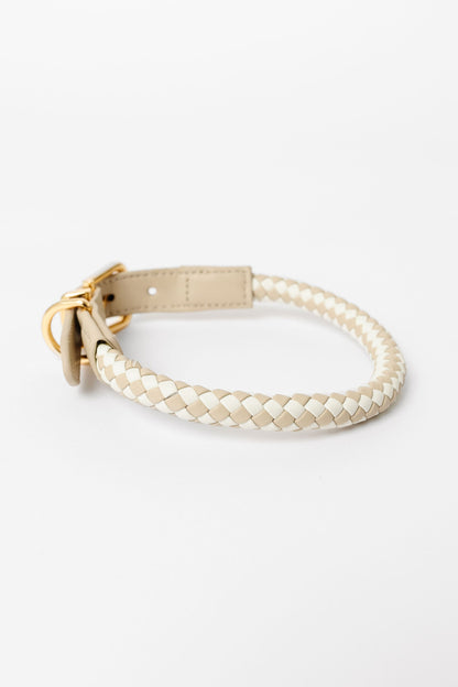 Rolled Braided Dog Collar – Hypoallergenic, Waterproof & Brass Hardware (Pupwell)