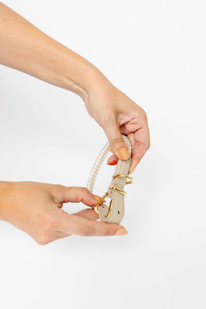 Rolled Braided Dog Collar – Hypoallergenic, Waterproof & Brass Hardware (Pupwell)