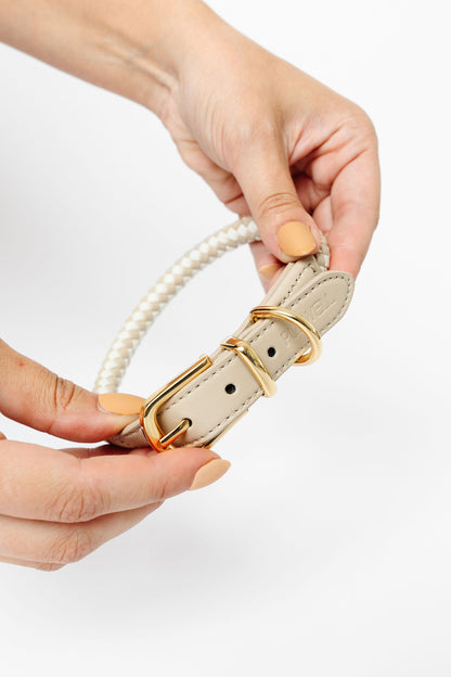 Rolled Braided Dog Collar – Hypoallergenic, Waterproof & Brass Hardware (Pupwell)