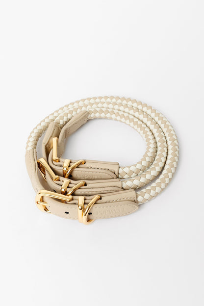 Rolled Braided Dog Collar – Hypoallergenic, Waterproof & Brass Hardware (Pupwell)