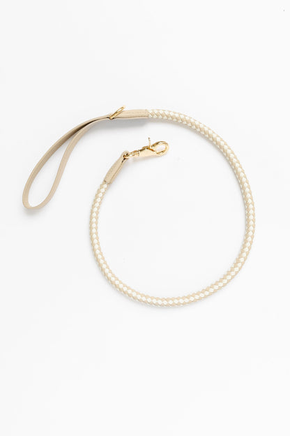 City Walk Kit – 3-Piece Dog Walking Set (Leash, Waste Bag Holder & Treat Pouch) | Pupwell