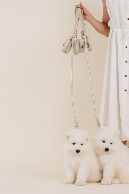 City Walk Kit – 3-Piece Dog Walking Set (Leash, Waste Bag Holder & Treat Pouch) | Pupwell