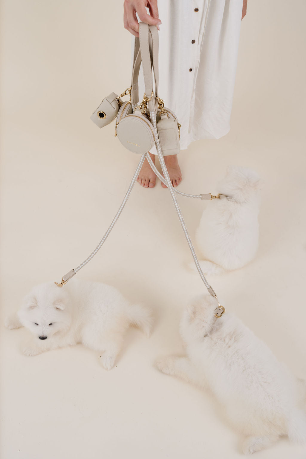 City Walk Kit – 3-Piece Dog Walking Set (Leash, Waste Bag Holder & Treat Pouch) | Pupwell