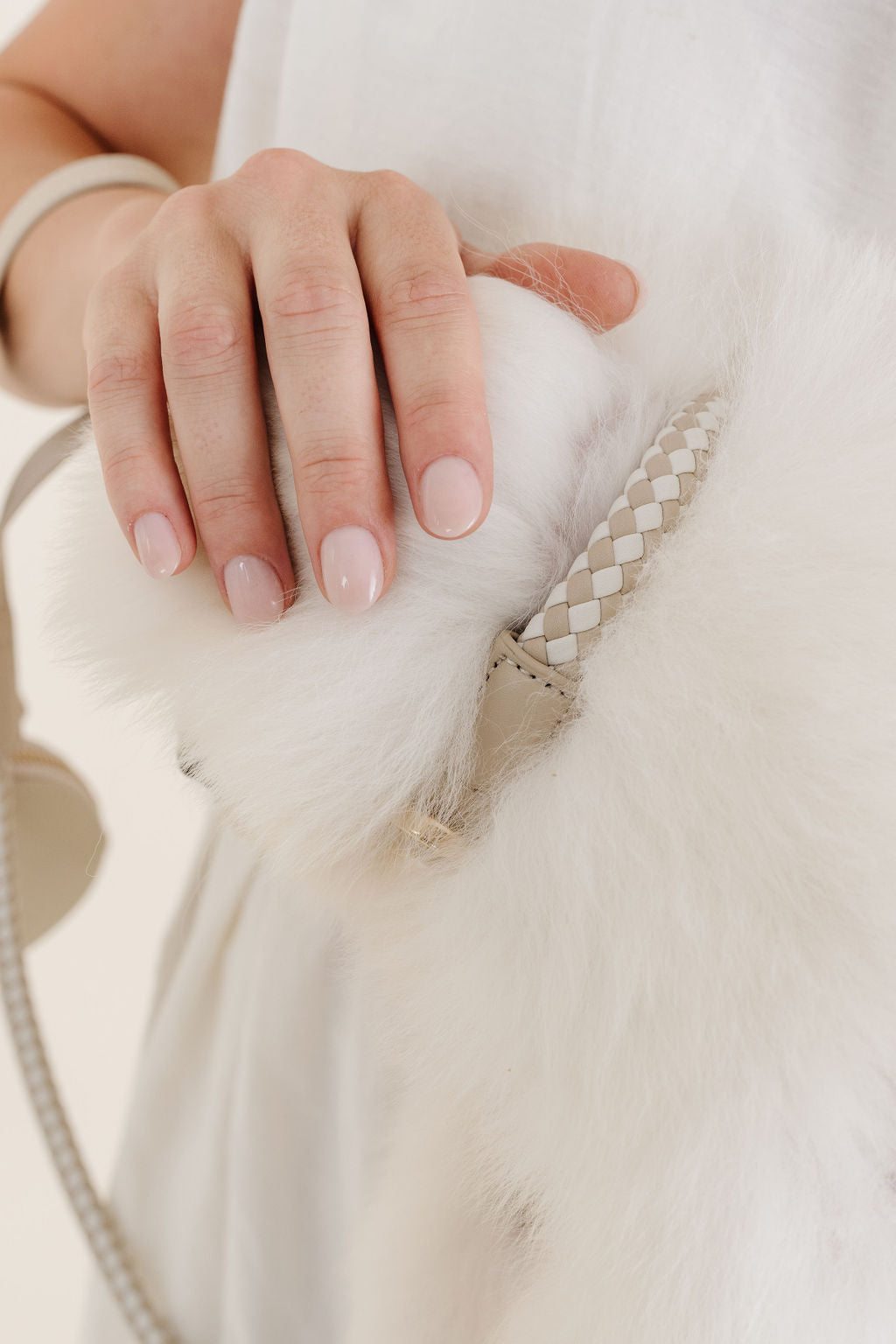 Rolled Braided Dog Collar – Hypoallergenic, Waterproof & Brass Hardware (Pupwell)