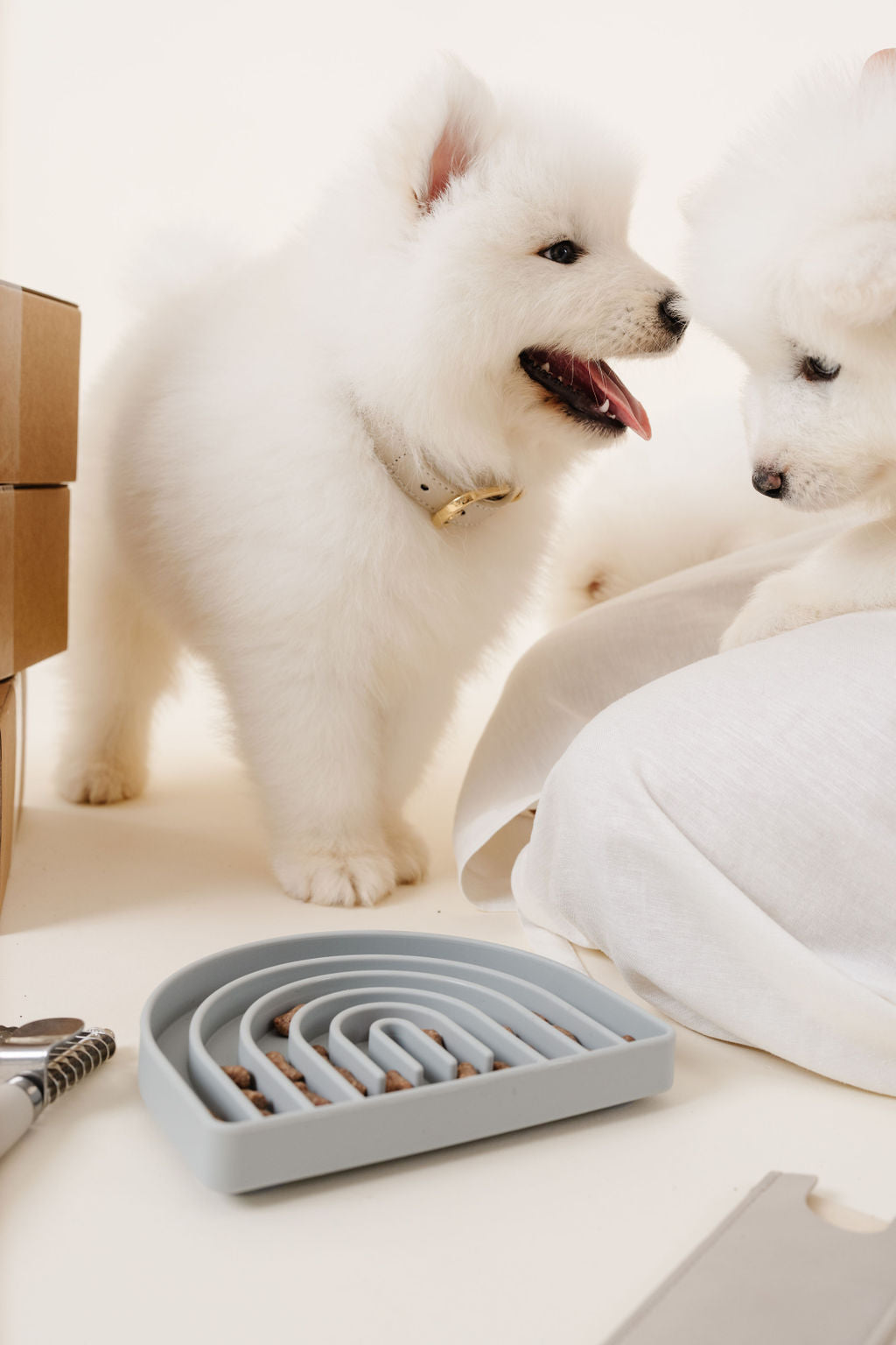 Rolled Braided Dog Collar – Hypoallergenic, Waterproof & Brass Hardware (Pupwell)