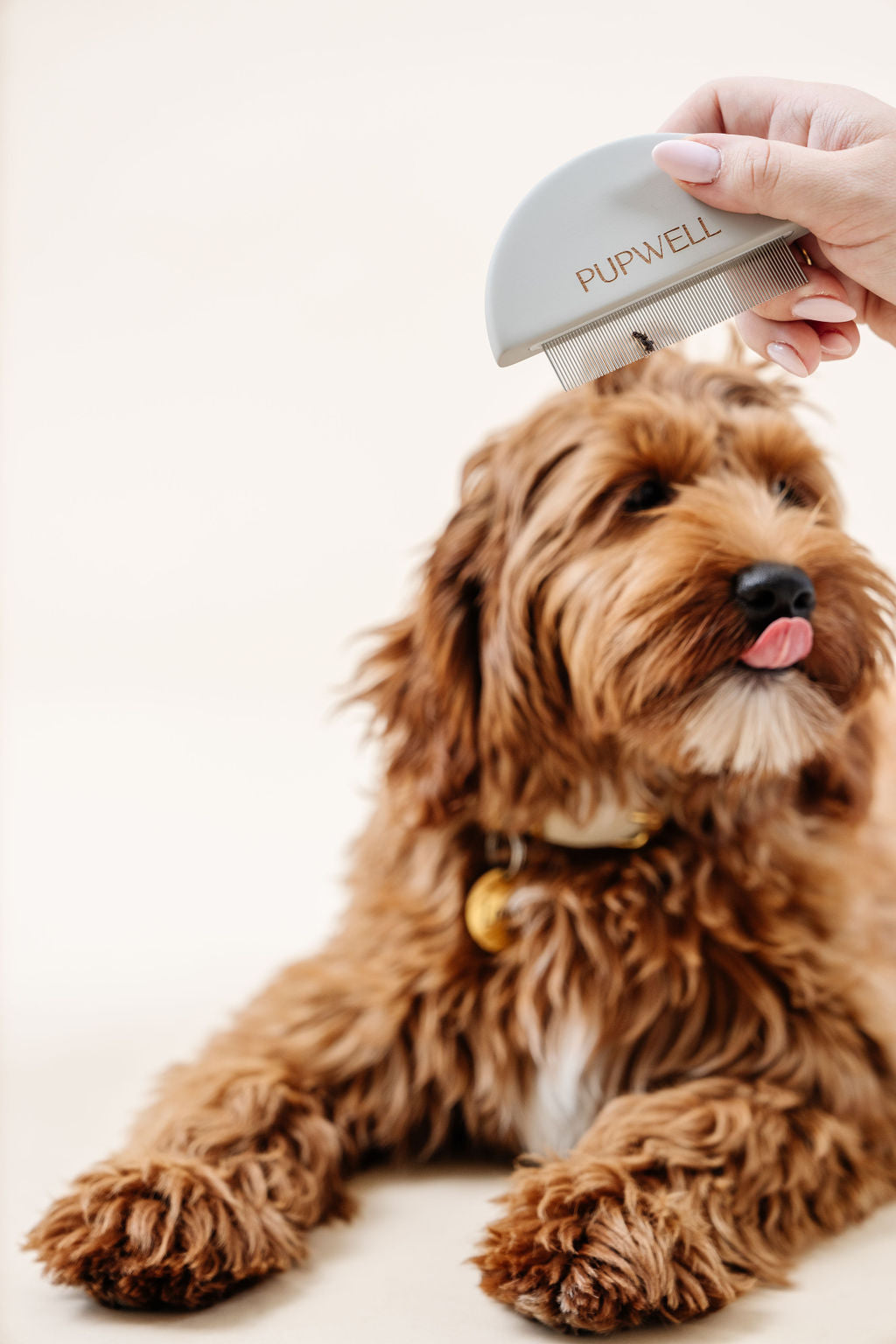 Pupwell Detailer Comb – Precision Tear Stain & Eye Grooming Tool