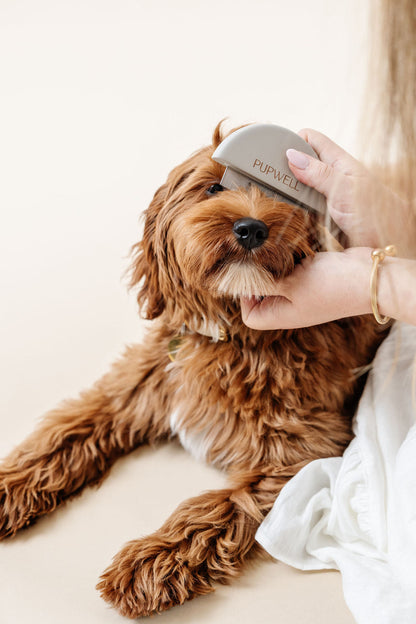 Pupwell Detailer Comb – Precision Tear Stain & Eye Grooming Tool