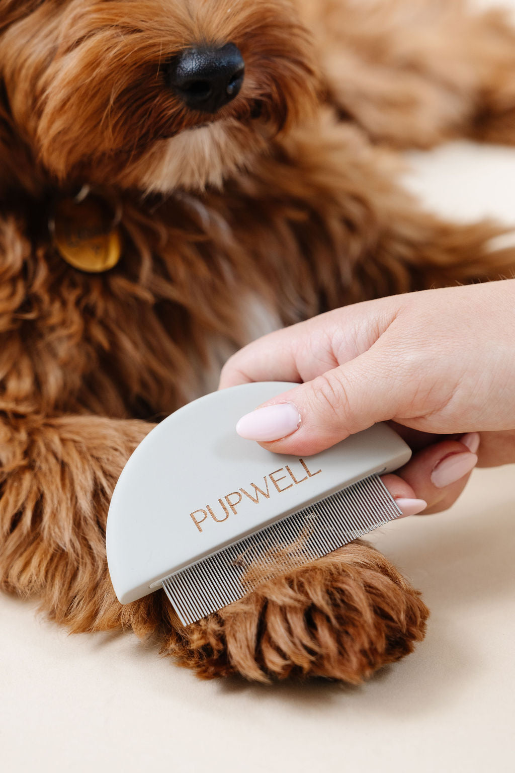 Pupwell Detailer Comb – Precision Tear Stain & Eye Grooming Tool