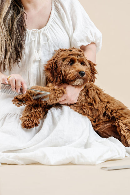Pup Parent Essentials | Beginner Dog Grooming Bundle with Slicker Brush & Combs