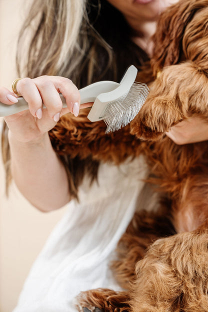 Everyday Slicker Brush | Professional Dog Grooming Brush for Detangling & Mat Prevention