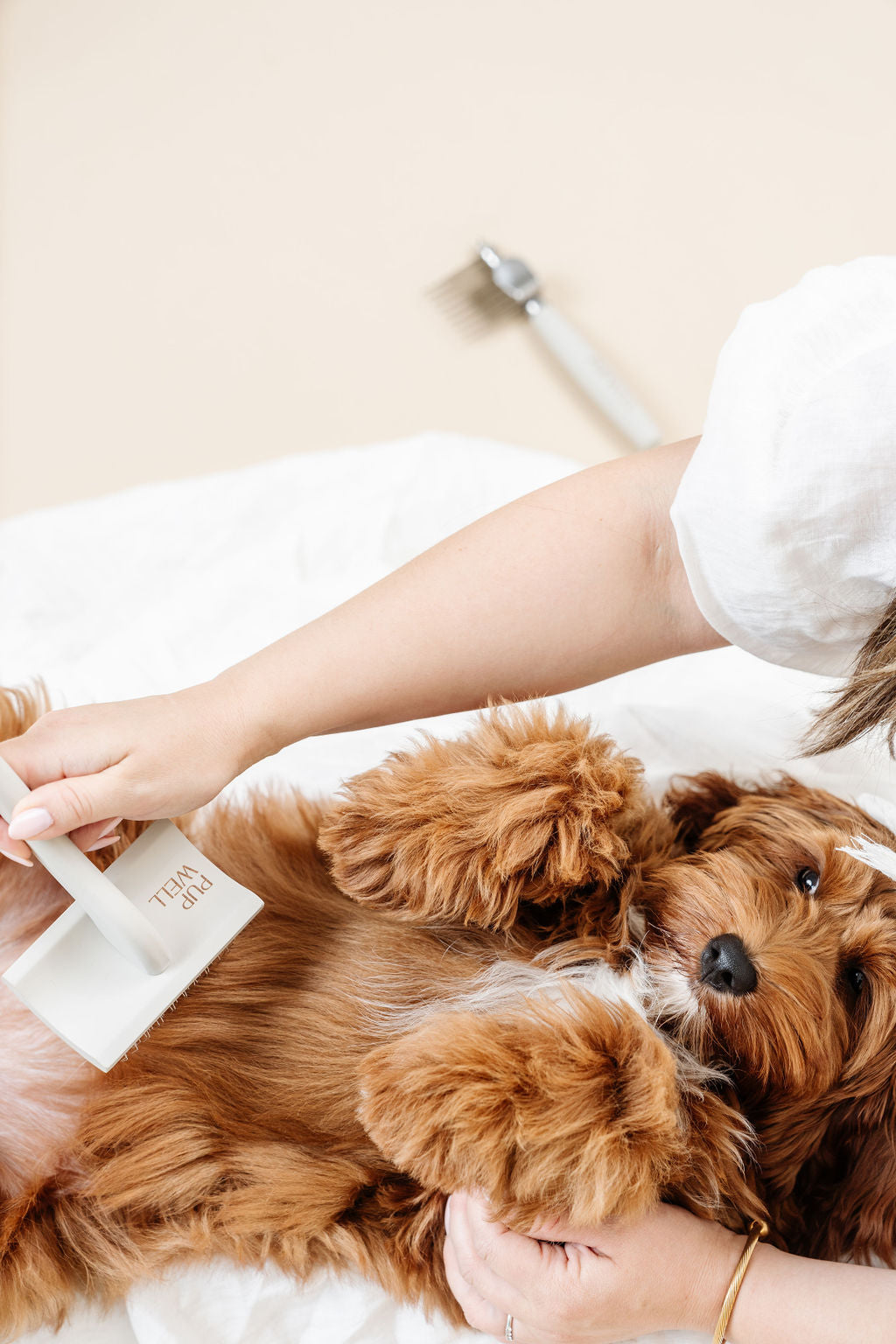 Everyday Slicker Brush | Professional Dog Grooming Brush for Detangling & Mat Prevention