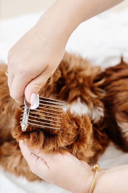 Pup Parent Essentials | Beginner Dog Grooming Bundle with Slicker Brush & Combs